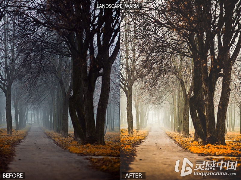 15个专业的风景景观 Lightroom预设15 Pro Landscape Presets  灵感中国网 www.lingganchina.com