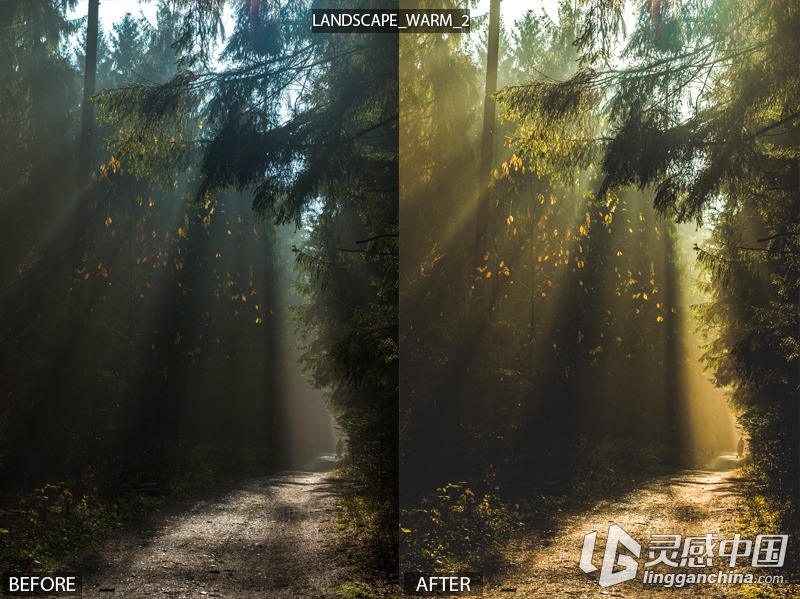 15个专业的风景景观 Lightroom预设15 Pro Landscape Presets  灵感中国网 www.lingganchina.com