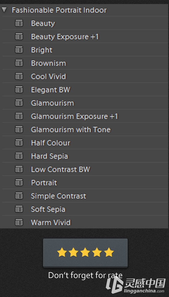16款时尚写真室内人像Lightroom预设16 Fashionable Portrait Indoor  灵感中国网 www.lingganchina.com