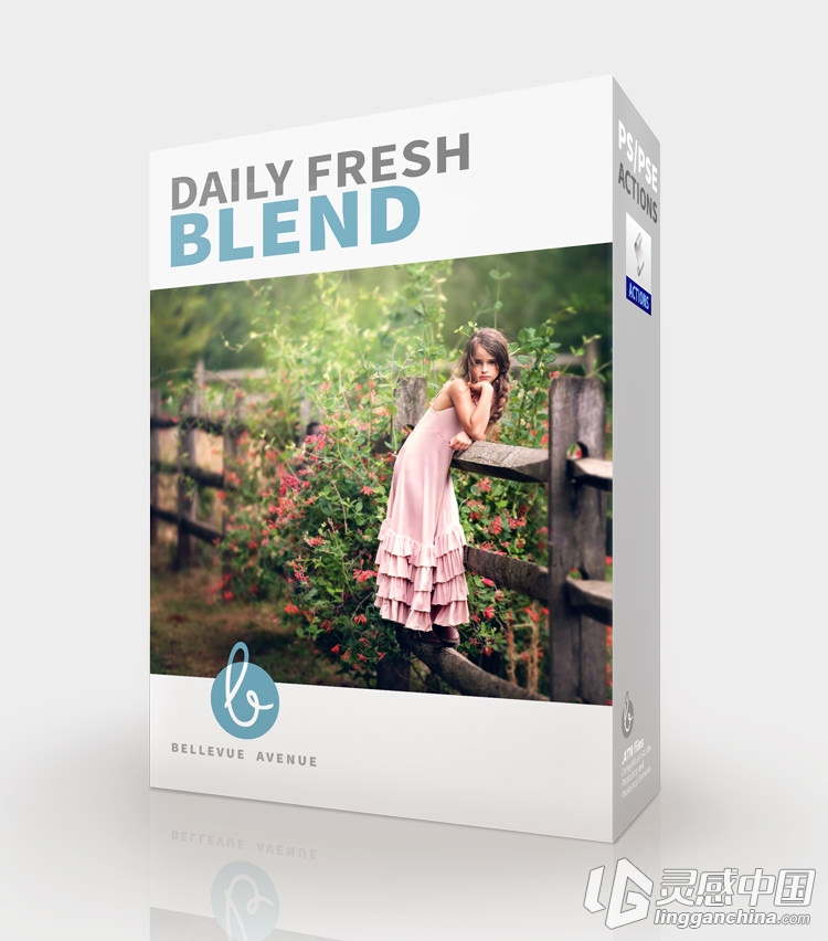 Bellevue Avenue日鲜人像摄影后期PS调色动作合集DAILY FRESH BLEND（附视频教程）  灵感中国网 www.lingganchina.com