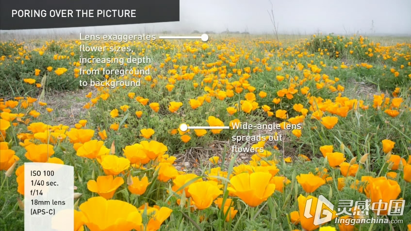 风光摄影师培训视频教程 Landscape Photography  灵感中国网 www.lingganchina.com