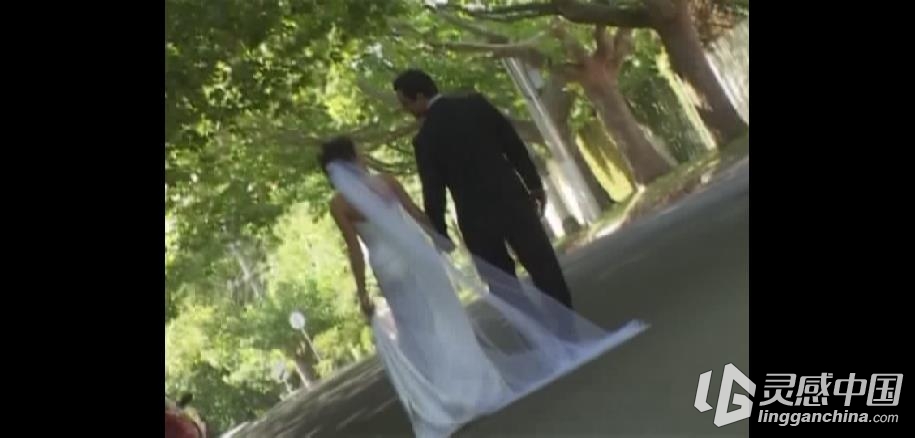 世界顶级婚礼摄影师婚纱摄影教程 Master of Wedding Photography DVD  灵感中国网 www.lingganchina.com