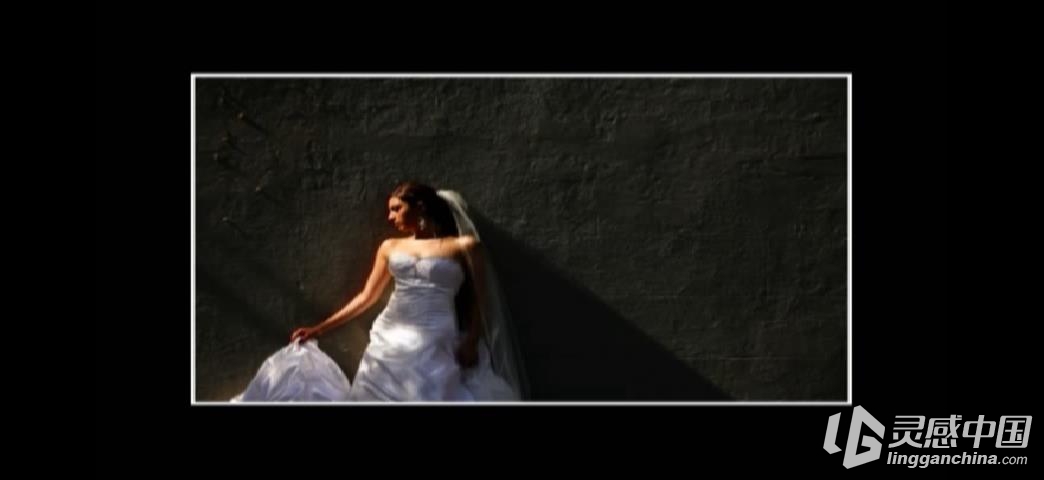 世界顶级婚礼摄影师婚纱摄影教程 Master of Wedding Photography DVD  灵感中国网 www.lingganchina.com