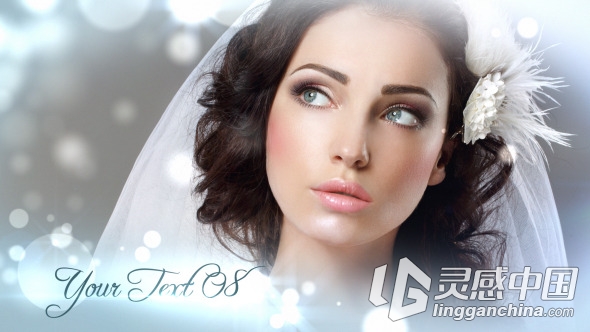 优雅粒子婚礼照片展示AE模板Videohive Wedding Elegance  灵感中国网 www.lingganchina.com