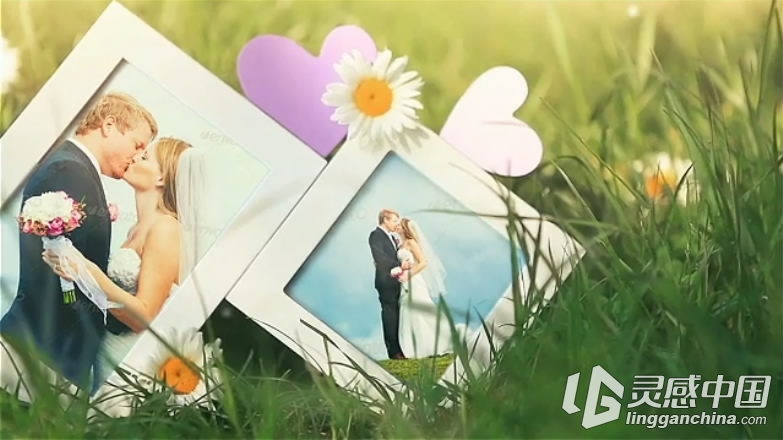 清新明媚的草地花丛中婚礼相框展示AE模板VideoHive Our Love Story Photo Gallery  灵感中国网 www.lingganchina.com