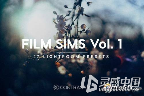 23套精品Lightroom预设合集共725个 725+ Pro Lightroom Presets Bundle  灵感中国网 www.lingganchina.com