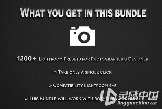 1200+Lightroom预设大礼包 1200+ Lightroom Presets Mega Bundle  灵感中国网 www.lingganchina.com