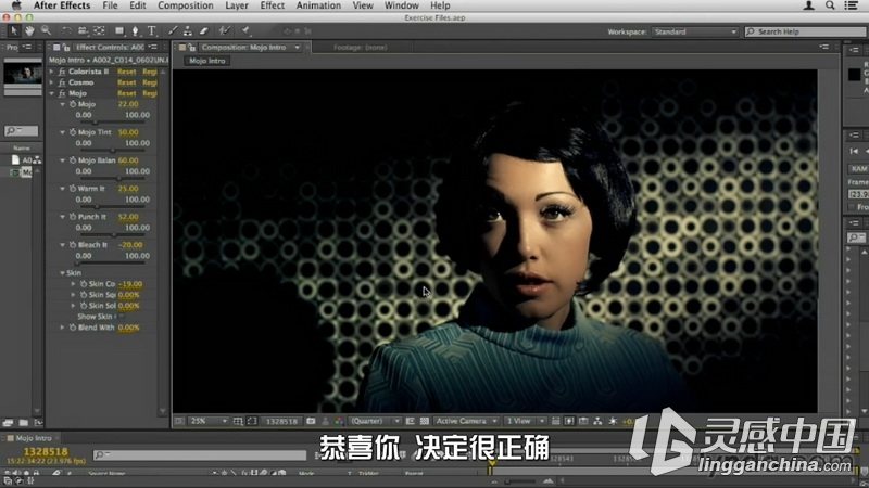 红巨星高端插件套装Magic Bullet Suite 11全面教程 中文字幕翻译  灵感中国网 www.lingganchina.com