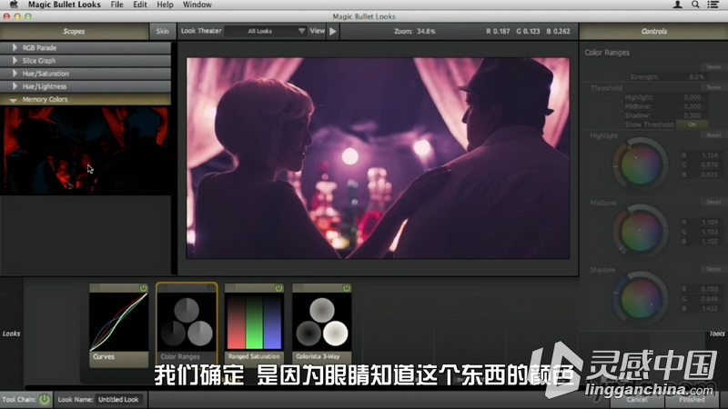 红巨星高端插件套装Magic Bullet Suite 11全面教程 中文字幕翻译  灵感中国网 www.lingganchina.com