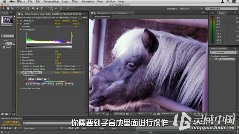 红巨星高端插件套装Magic Bullet Suite 11全面教程 中文字幕翻译  灵感中国网 www.lingganchina.com