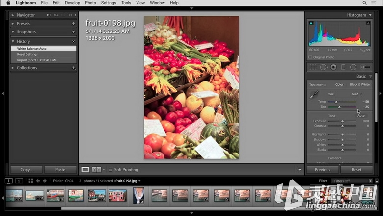 Lightroom 6和Lightroom CC入门及提高教程  灵感中国网 www.lingganchina.com