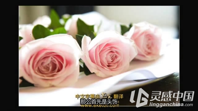 婚礼婚纱现场跟拍摄影与照片后期处理视频教程【中文字幕】  灵感中国网 www.lingganchina.com