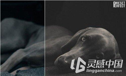 20欧美哑光Lightroom预设 20 Matte Lightroom Presets  灵感中国网 www.lingganchina.com