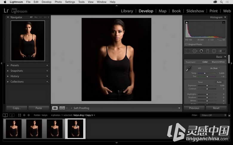 Lynda - Lightroom 高级流程教程  灵感中国网 www.lingganchina.com