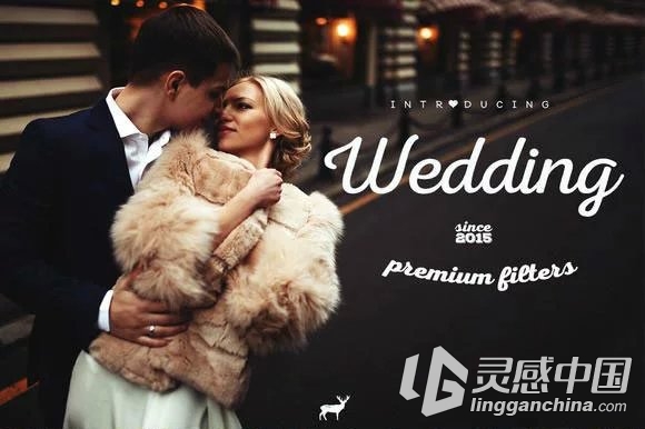 婚礼高级PS动作 Wedding Premium Filters PS Actions  灵感中国网 www.lingganchina.com