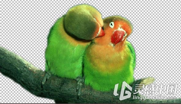 PS人物背景抠图动作 Intense Background Remover v4  灵感中国网 www.lingganchina.com