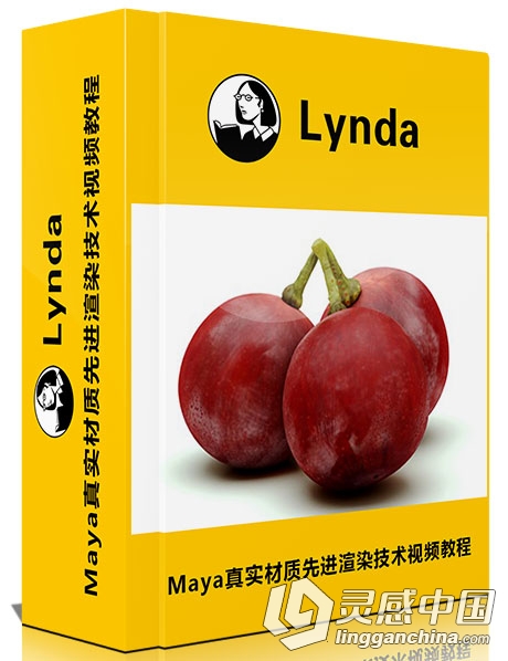 Maya真实材质先进渲染技术视频教程 Advanced Materials in Maya  灵感中国网 www.lingganchina.com