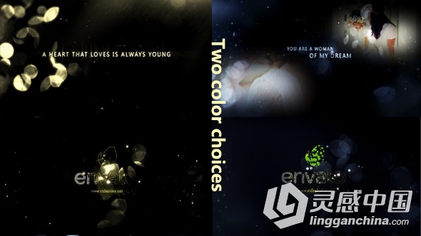 优雅婚礼金灿光辉相册动画AE模板Videohive Gold Particle and Memories Typography  灵感中国网 www.lingganchina.com