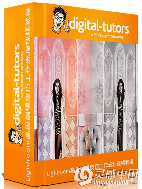 Lightroom高级编辑技巧工作流程视频教程Digital-Tutors Advanced Editing Workflow...  灵感中国网 www.lingganchina.com