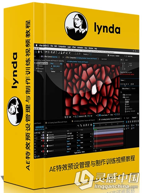 AE特效预设管理与制作训练视频教程Lynda After Effects Guru Effects and Preset M...  灵感中国网 www.lingganchina.com