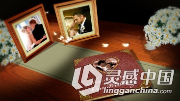 唯美婚礼书籍相册动画AE模板 BLUEFX Vintage Wedding  灵感中国网 www.lingganchina.com