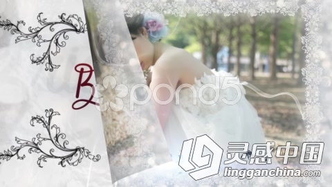 精美婚礼相册动画AE模板 POND5 Wedding Slideshow  灵感中国网 www.lingganchina.com