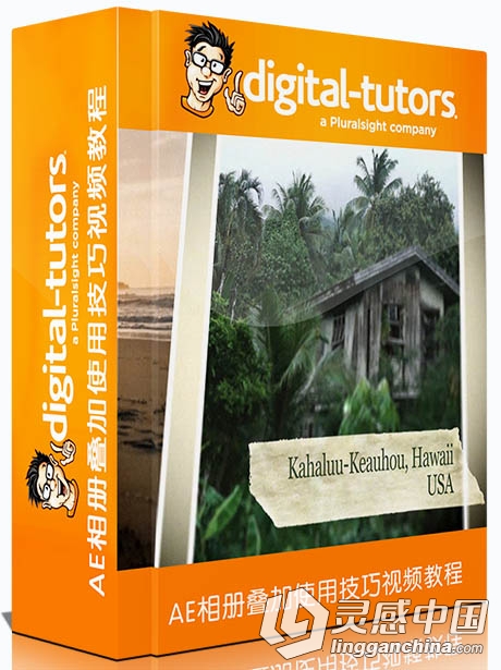 AE相册叠加使用技巧视频教程Digital-Tutors Creating Publishable Templates in Af...  灵感中国网 www.lingganchina.com