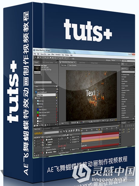 AE飞舞蝴蝶特效动画制作视频教程Tutsplus Create An Astonishing Butterfly Animation  灵感中国网 www.lingganchina.com
