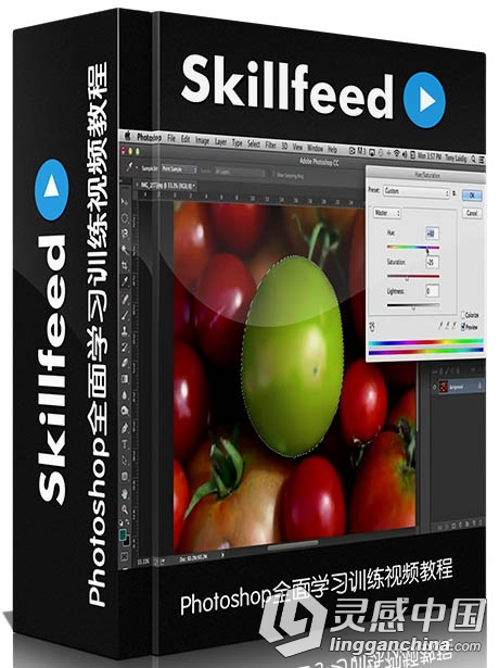 Photoshop全面学习训练视频教程Skillfeed Learn Photoshop In 3 Hours Complete  灵感中国网 www.lingganchina.com