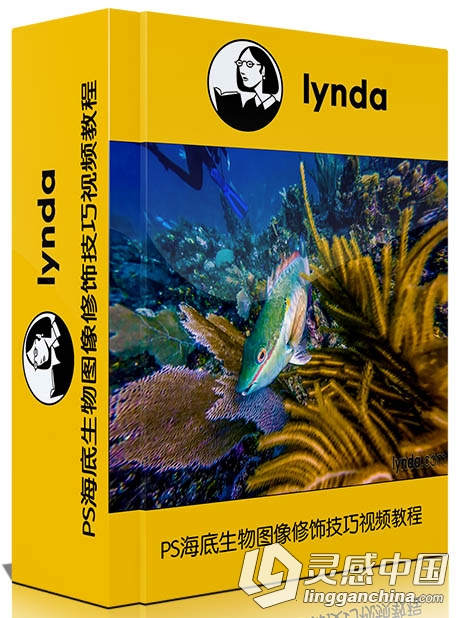 PS海底生物图像修饰技巧视频教程Enhancing Underwater Photos with Photoshop  灵感中国网 www.lingganchina.com