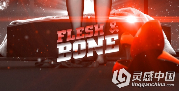 激情城市包装动画AE模板 Videohive Flesh &amp; Bone Sexy Broadcast Kit  灵感中国网 www.lingganchina.com