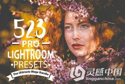 523组欧美风景人像Lightroom预设合集 Premium Lightroom Preset  灵感中国网 www.lingganchina.com