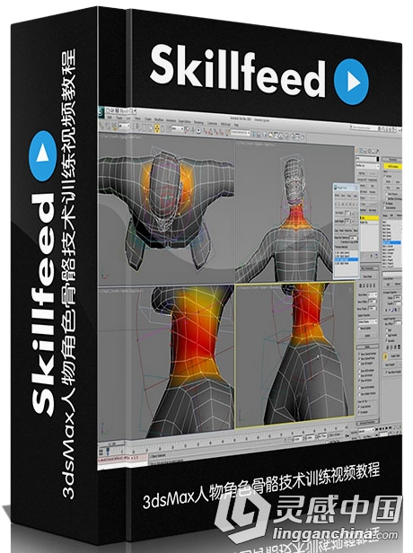 3dsMax人物角色骨骼技术训练视频教程Skillfeed Character Rigging with 3ds Max  灵感中国网 www.lingganchina.com