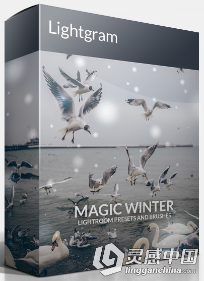 Lightgram出品 Magic Winter雪景预设包（含笔刷）  灵感中国网 www.lingganchina.com