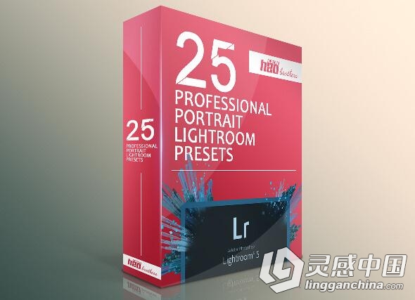 25个专业人像Lightroom的预设 Professional Portrait LR Presets  灵感中国网 www.lingganchina.com