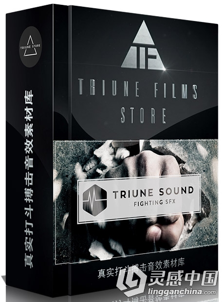 电影真实武打搏斗动作音效合集 Triune Sound- Fighting SFX Pack  灵感中国网 www.lingganchina.com