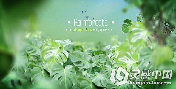 热带雨林背景文字字幕标题动画AE模板 Videohive The Rainforests Titles  灵感中国网 www.lingganchina.com