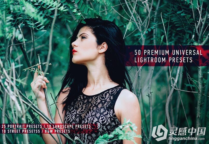 50专业高级通用完美Lightroom预设 50 Premium Universal Presets  灵感中国网 www.lingganchina.com