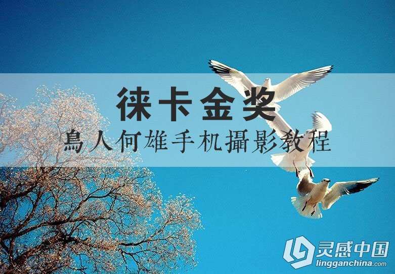 徕卡金奖—鸟人何雄手机摄影视频教程  灵感中国网 www.lingganchina.com