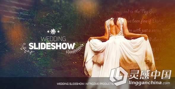 复古艺术浪漫相册幻灯片动画AE模板 VideoHive Wedding Slideshow  灵感中国网 www.lingganchina.com