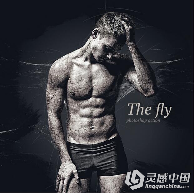 蛛丝网裂纹特效PS动作 Fly Photoshop Action 附视频教程  灵感中国网 www.lingganchina.com