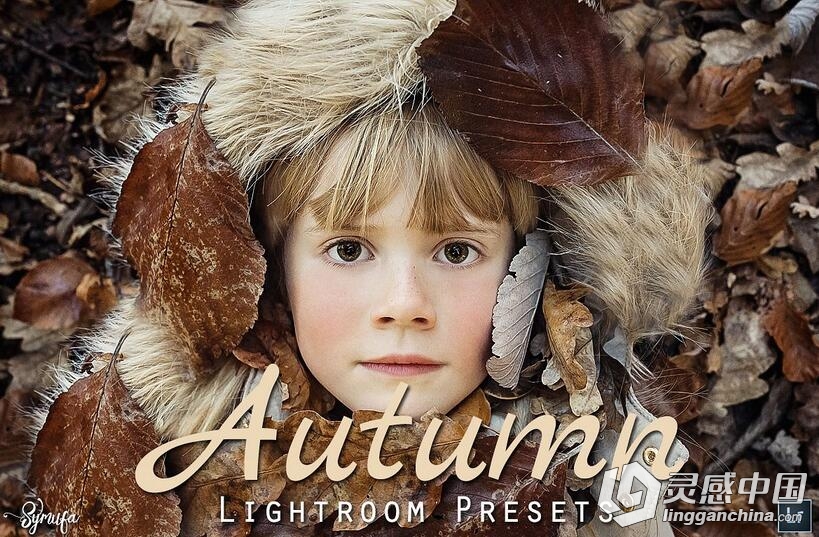 50组秋季摄影后期Lightroom预设 50 Autumn Lightroom Presets  灵感中国网 www.lingganchina.com