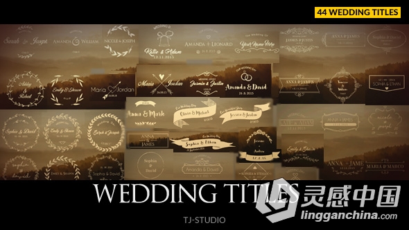 温馨美丽的婚礼标题动画AE模板 Videohive Wedding Titles  灵感中国网 www.lingganchina.com