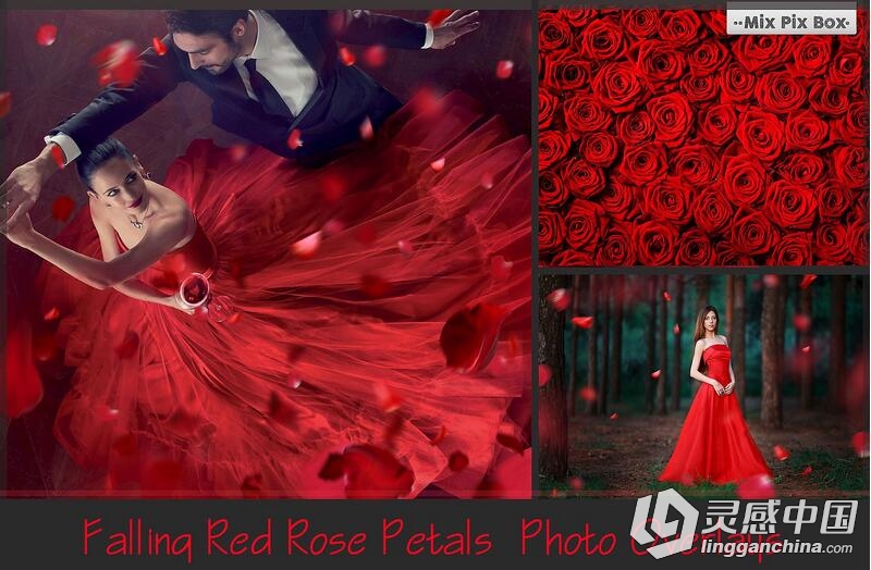 高清玫瑰花瓣PS后期叠加合成前景素材 Falling Rose Petals Photo Overlays  灵感中国网 www.lingganchina.com