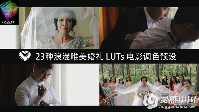 23种浪漫唯美婚礼 LUTs 电影调色预设 LAPARDIN WEDLUTS  灵感中国网 www.lingganchina.com