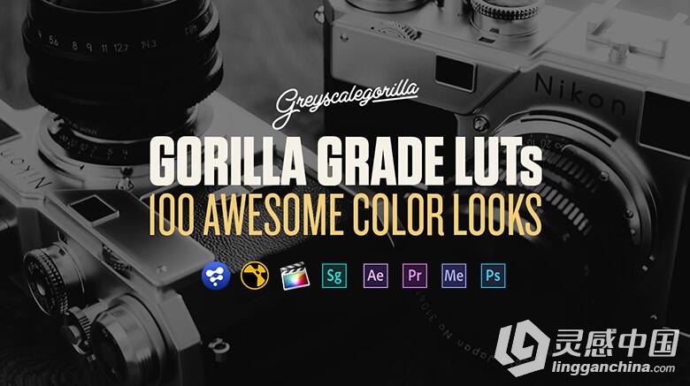 100种3D LUTs专业电影调色预设文件 GSG Grade LUTs 附教程  灵感中国网 www.lingganchina.com