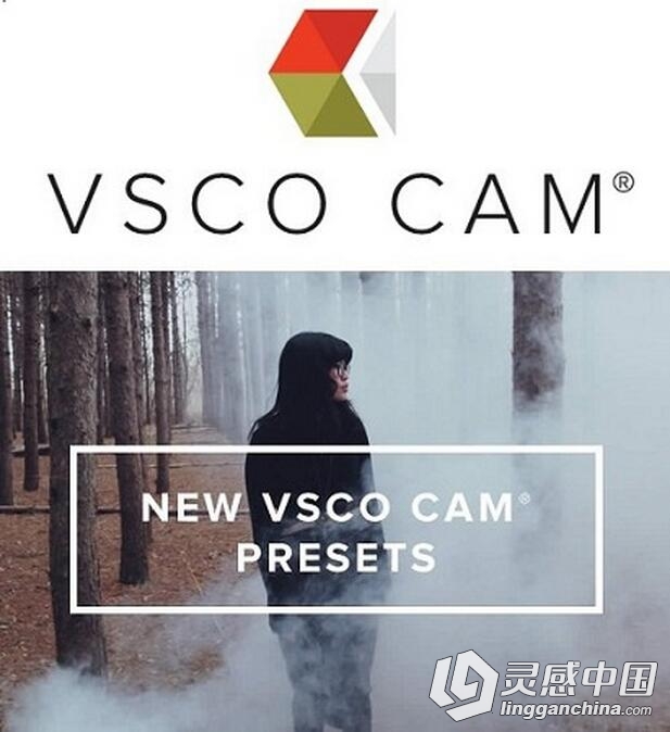 100个日系胶片质感小清新3D LUTs预设 VSCO CAM Presets in LUTs  灵感中国网 www.lingganchina.com