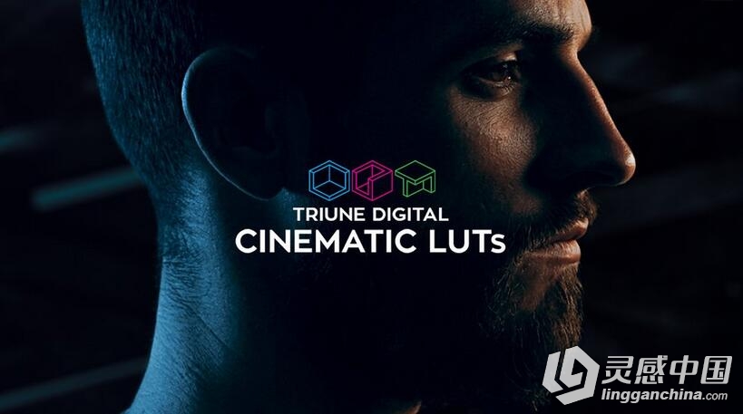 300组LUTs电影大片风格调色预设 Triune Digital: Cinematic LUTs  灵感中国网 www.lingganchina.com