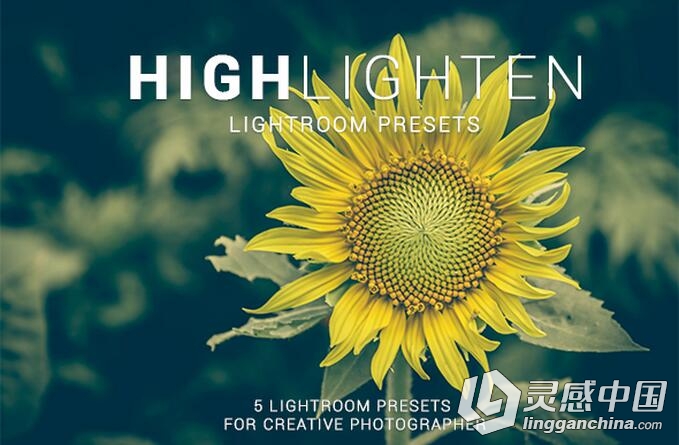 高亮度LR调色预设 Highlighten Lightroom Presets  灵感中国网 www.lingganchina.com