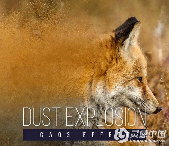 粉尘爆炸PS动作 Dust Explosion Caos Effect  灵感中国网 www.lingganchina.com